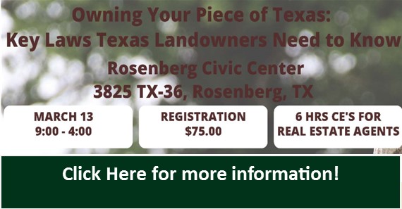 Owning your own piece of texas