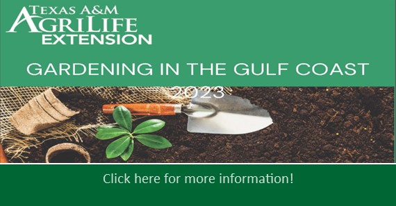 Gardening in the Gulf 20203