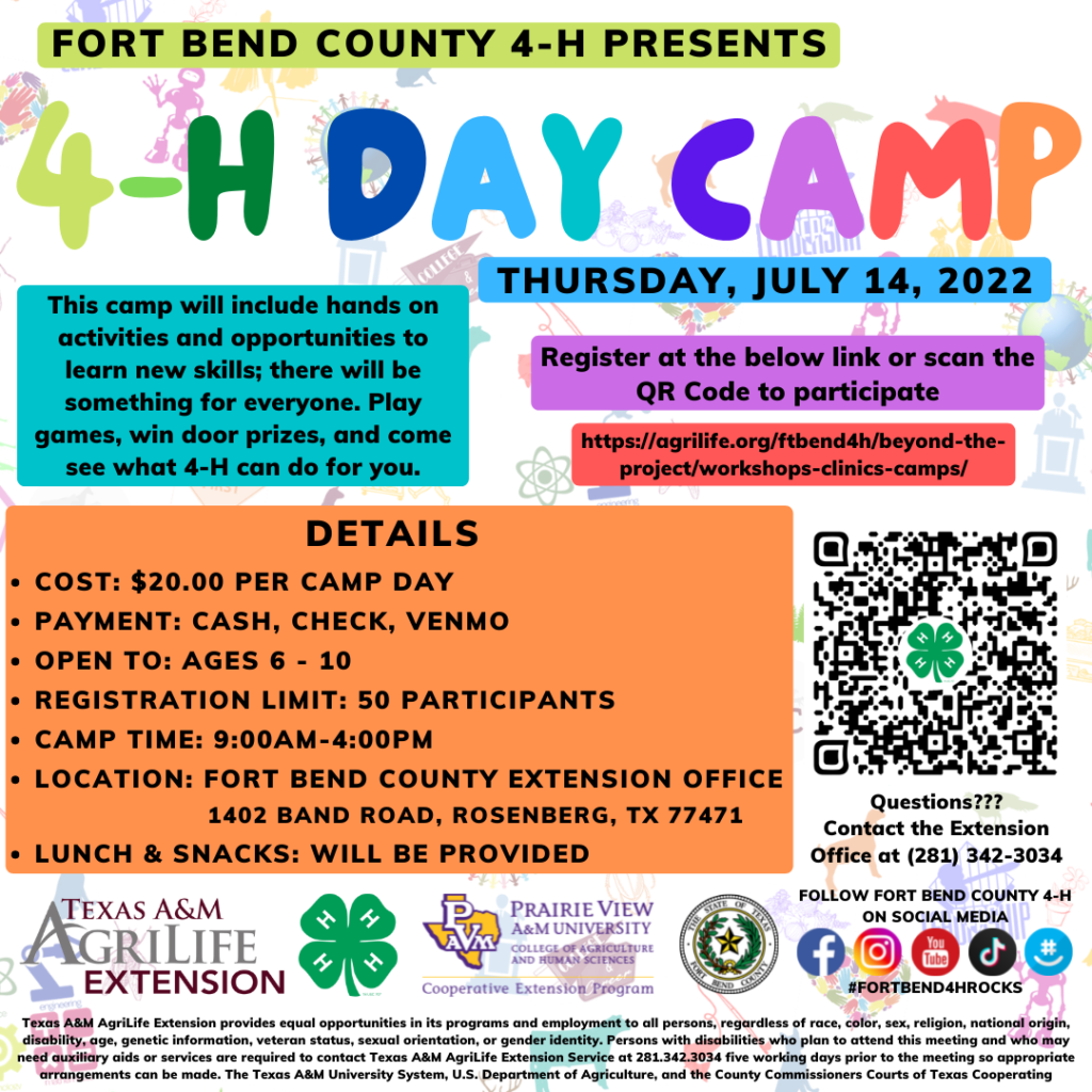 Camps Fort Bend
