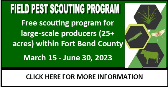 Field Pest Scouting Program