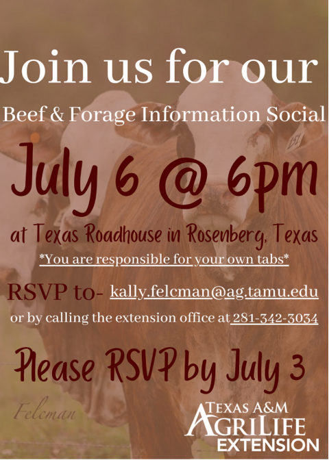 Beef and Forage Social