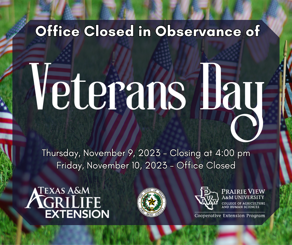 Office Closed in observance of Veterans Day.