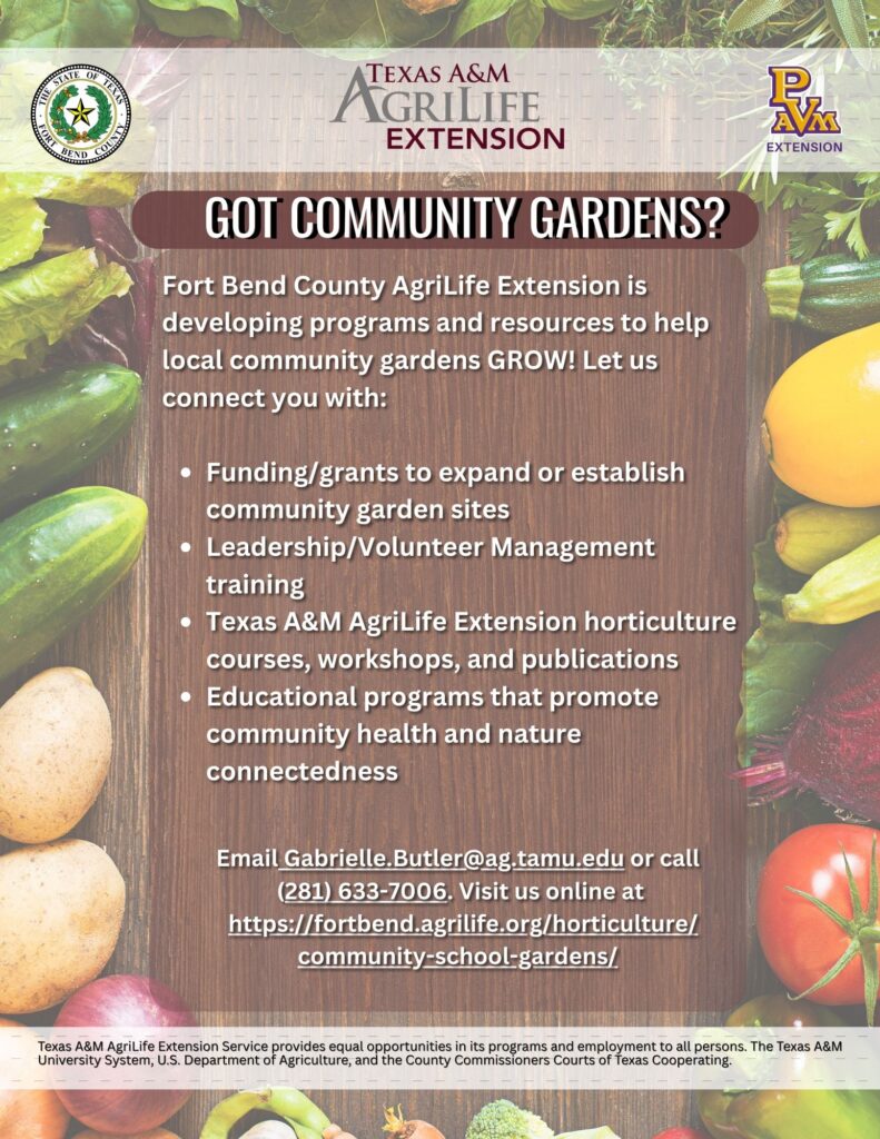 CSG Flyer 2
