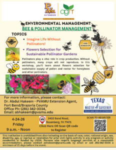 Bee & Pollinator Flyer